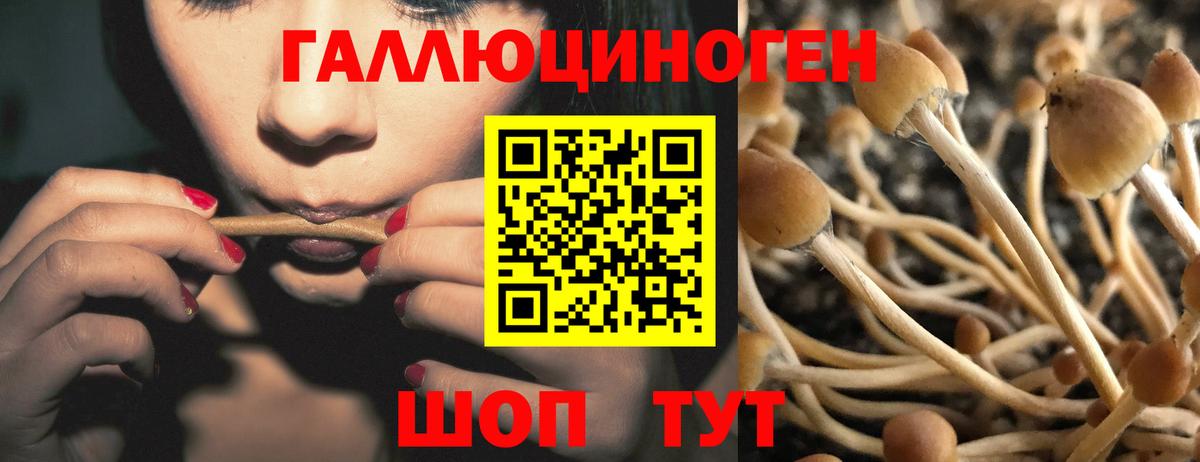 Галлюциногенные грибы мицелий Грязи